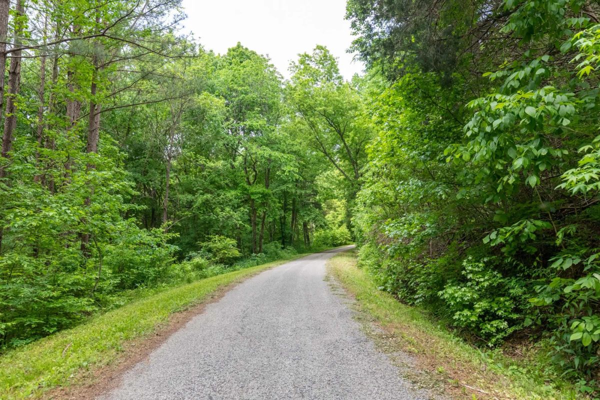 Decorative background for Cedar Creek Tract 40 image 9