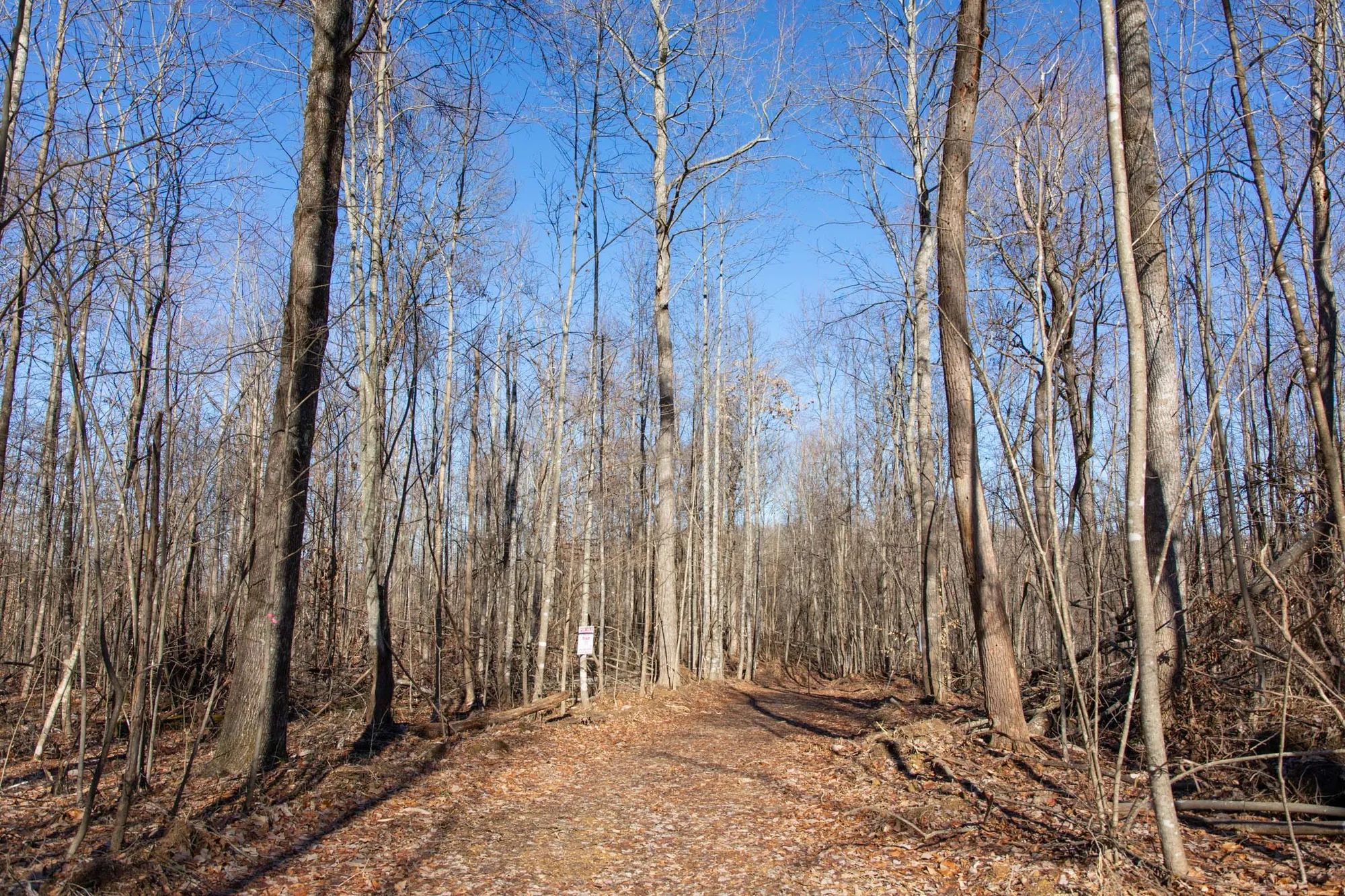 Blackstone Mountain Phase I Tract 20 in Clay County, KY