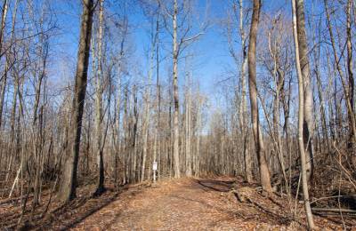 Blackstone Mountain Phase I Tract 20