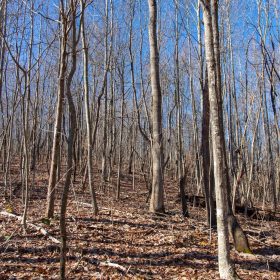 Blackstone Mountain Phase I Tract 20 in Clay County, KY