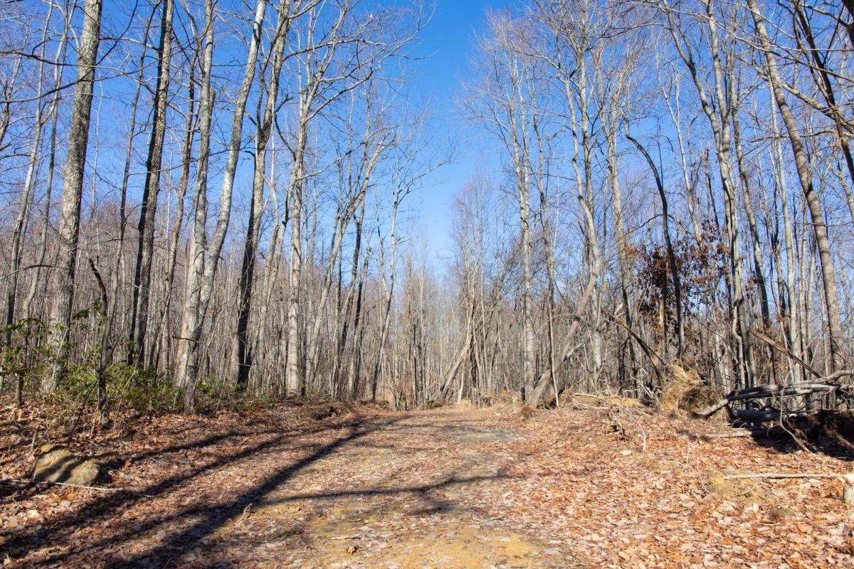 Decorative background for Blackstone Mountain Phase I Tract 20 image 13