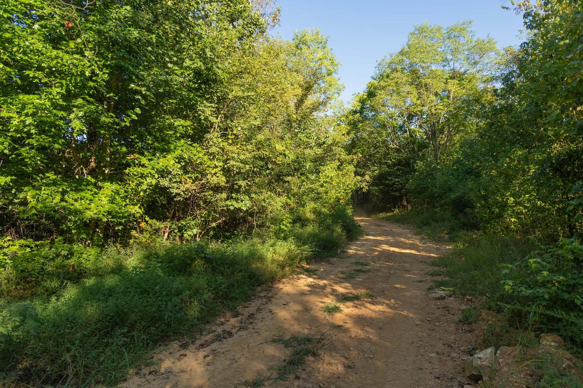 Big White Oak Tract 109 in Perry County, TN