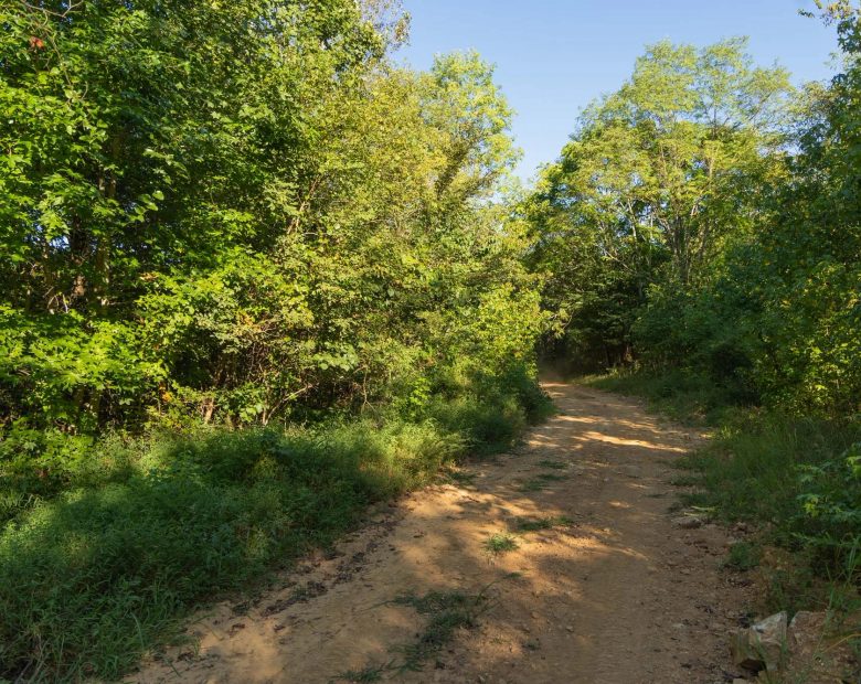 Big White Oak Tract 109 in Perry County, TN