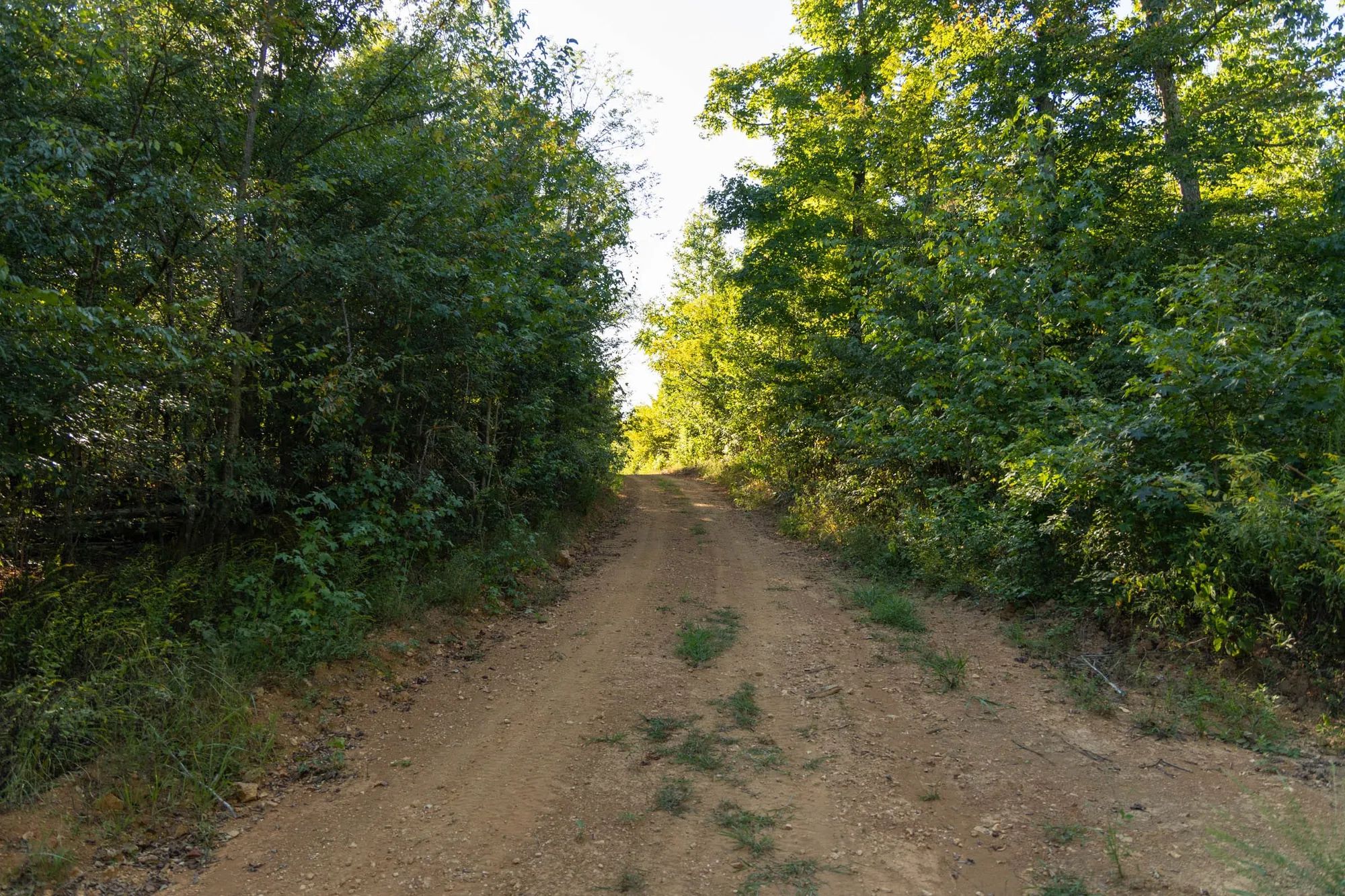 Big White Oak Tract 109 in Perry County, TN