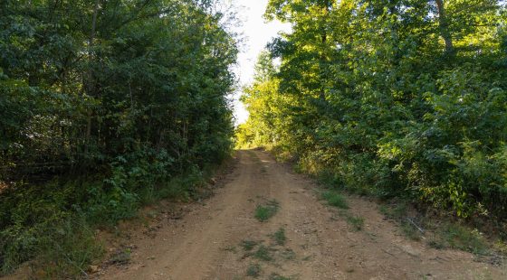 Big White Oak Tract 109 in Perry County, TN