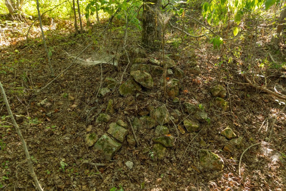 Decorative background for Big White Oak Tract 109 image 6
