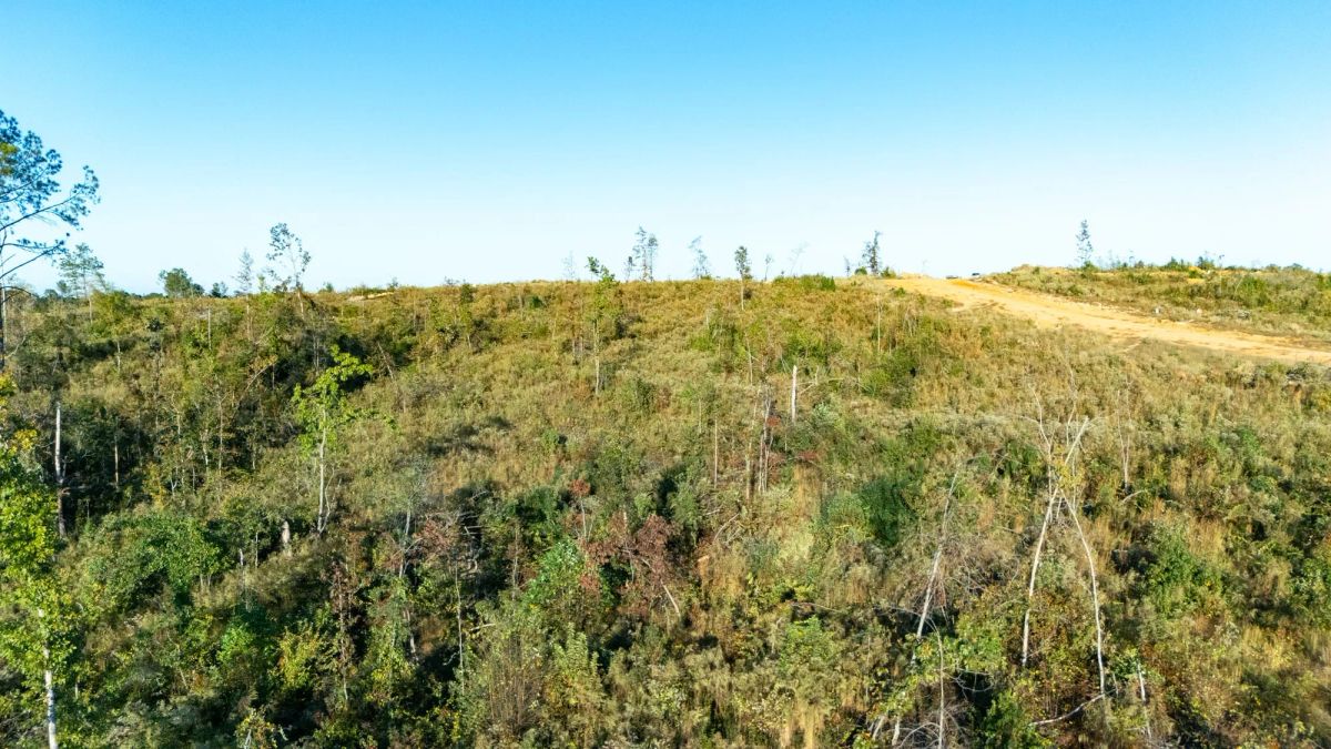 Meyer’s Ridge Tract 8 - Main image