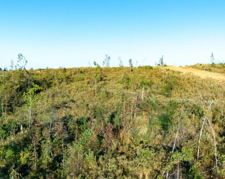 Meyer’s Ridge Tract 8 in Attala County, MS