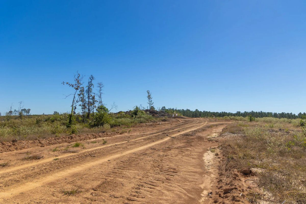 Meyer’s Ridge Tract 8 - Image 2