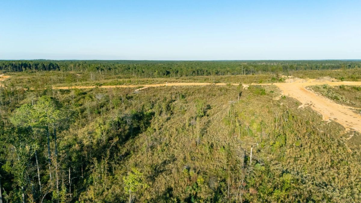 Decorative background for Meyer’s Ridge Tract 8 image 5
