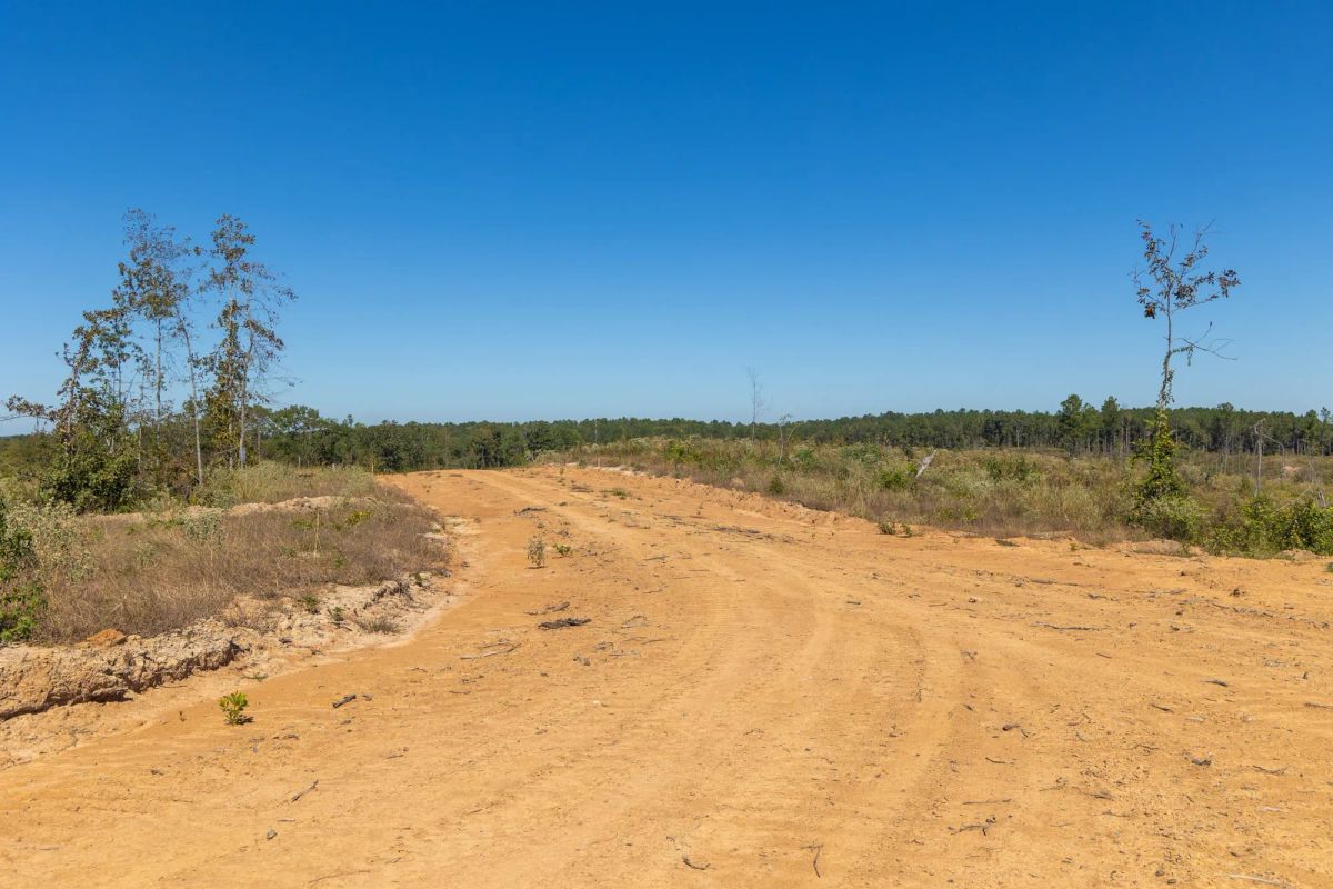 Decorative background for Meyer’s Ridge Tract 8 image 8