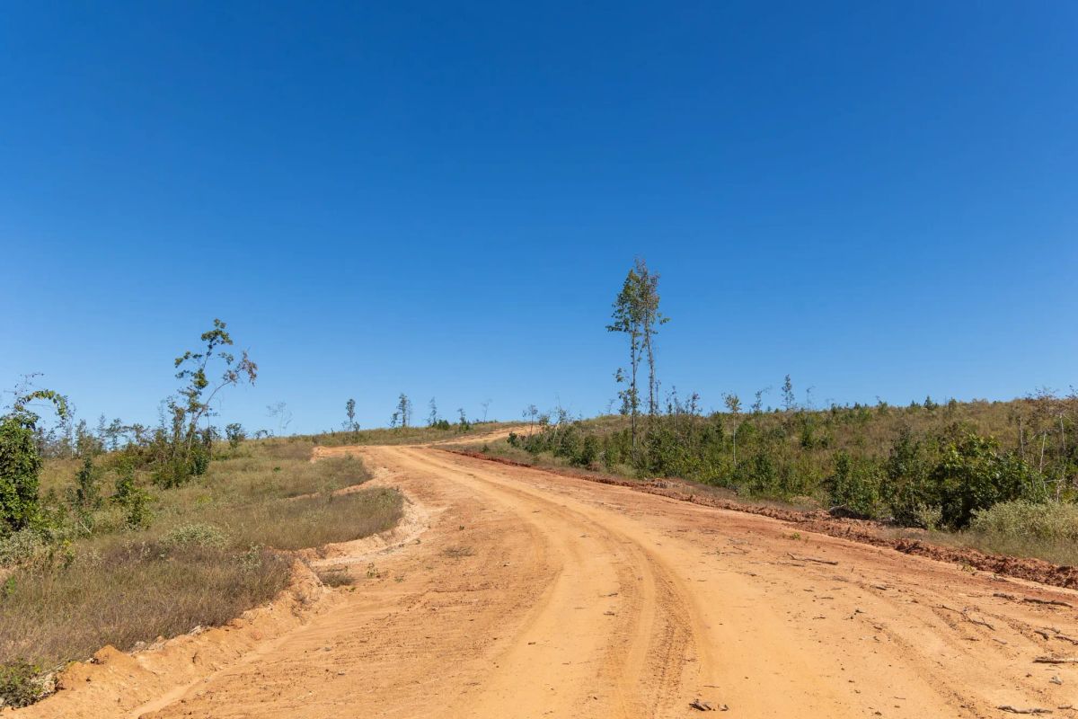 Decorative background for Meyer’s Ridge Tract 8 image 11