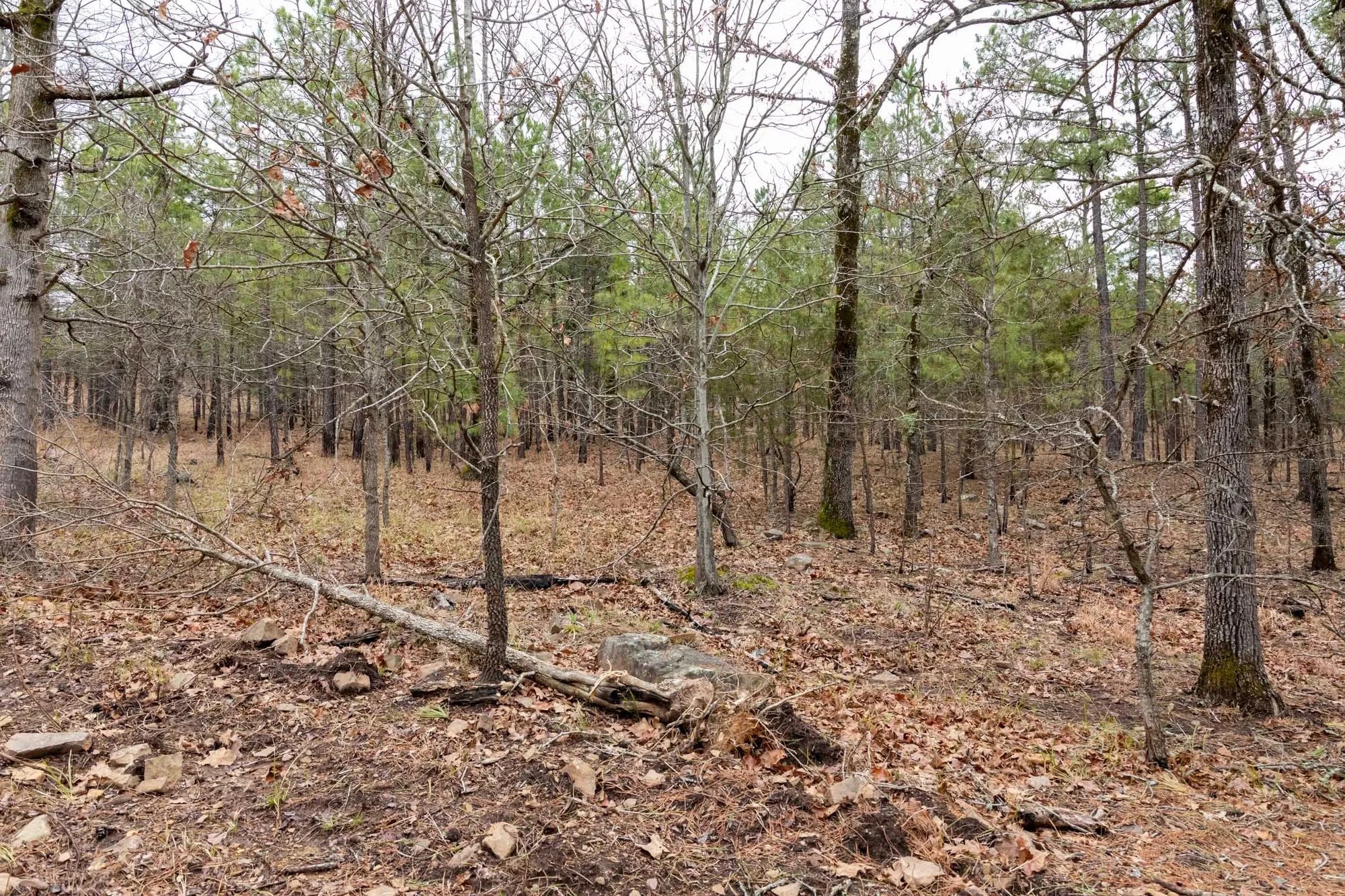 Stone Bridge Phase III Tract 193 in Latimer County, OK