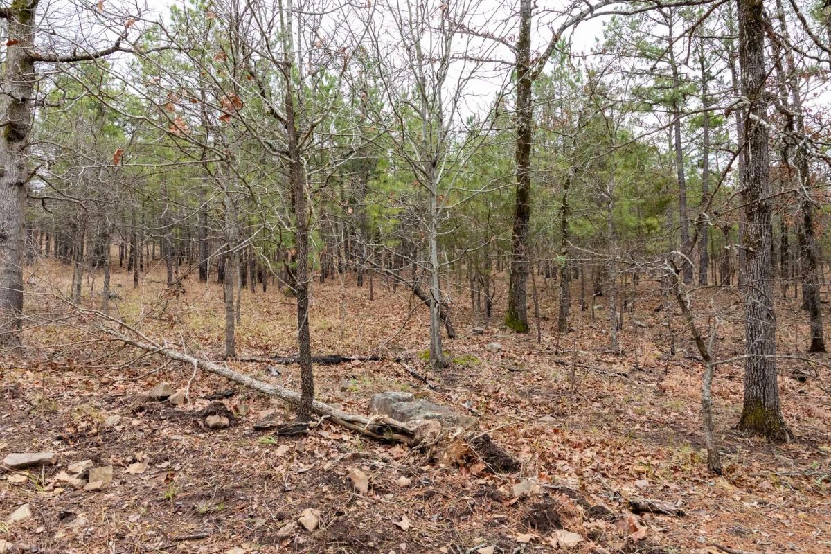 Stone Bridge Phase III Tract 193 - Image 4