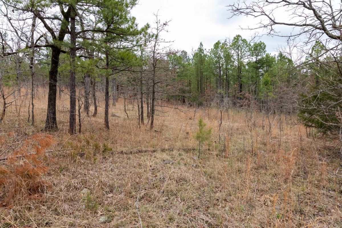 Decorative background for Stone Bridge Phase III Tract 193 image 5