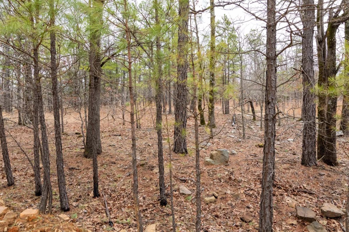 Decorative background for Stone Bridge Phase III Tract 193 image 6