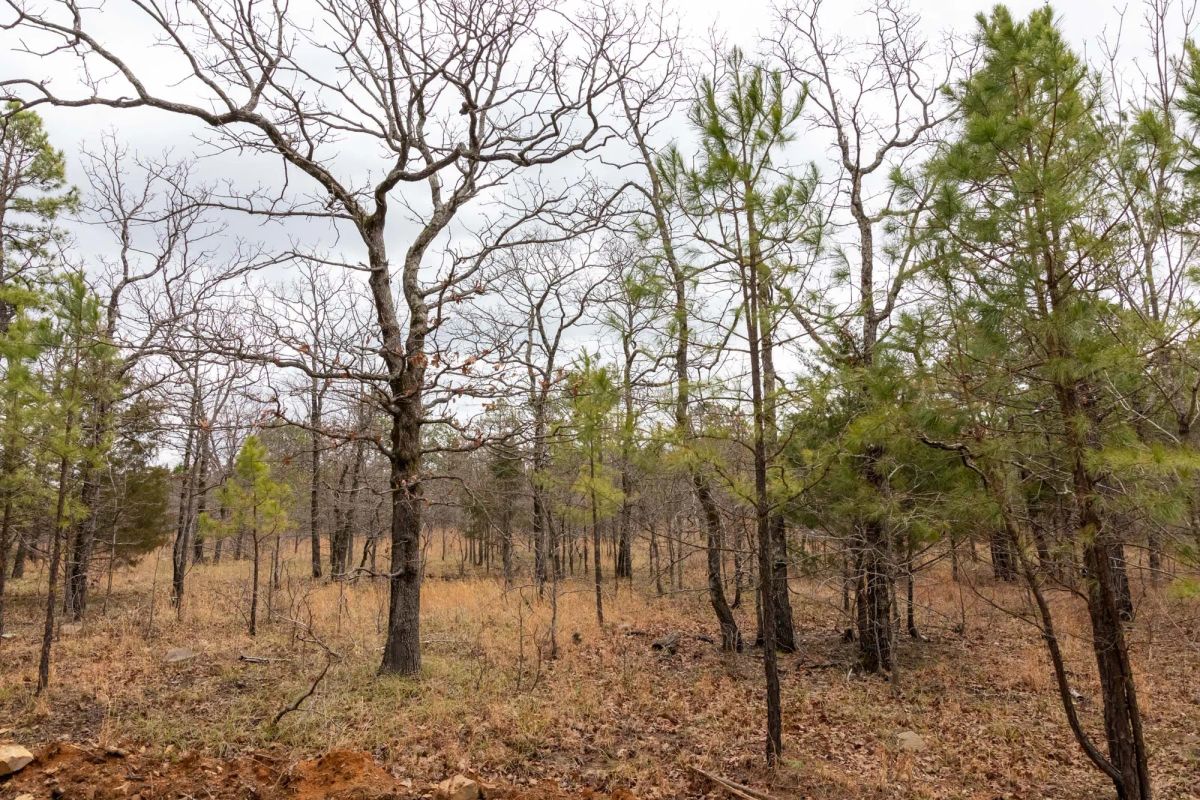 Decorative background for Stone Bridge Phase III Tract 193 image 7
