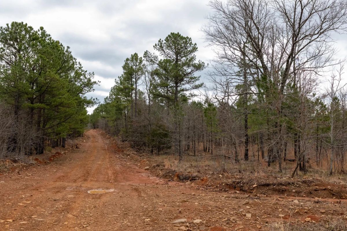Decorative background for Stone Bridge Phase III Tract 193 image 8