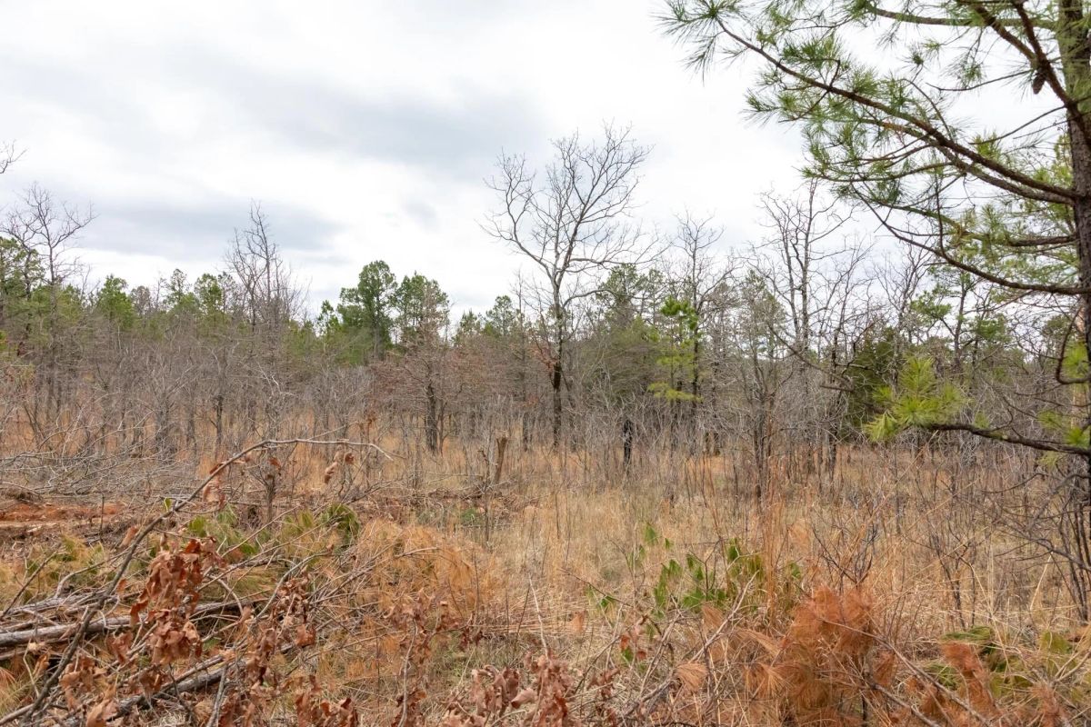 Decorative background for Stone Bridge Phase III Tract 193 image 9