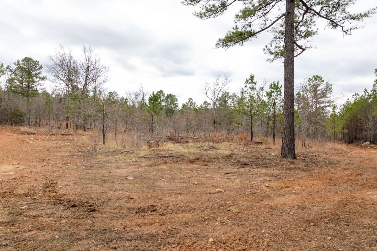 Decorative background for Stone Bridge Phase III Tract 193 image 10