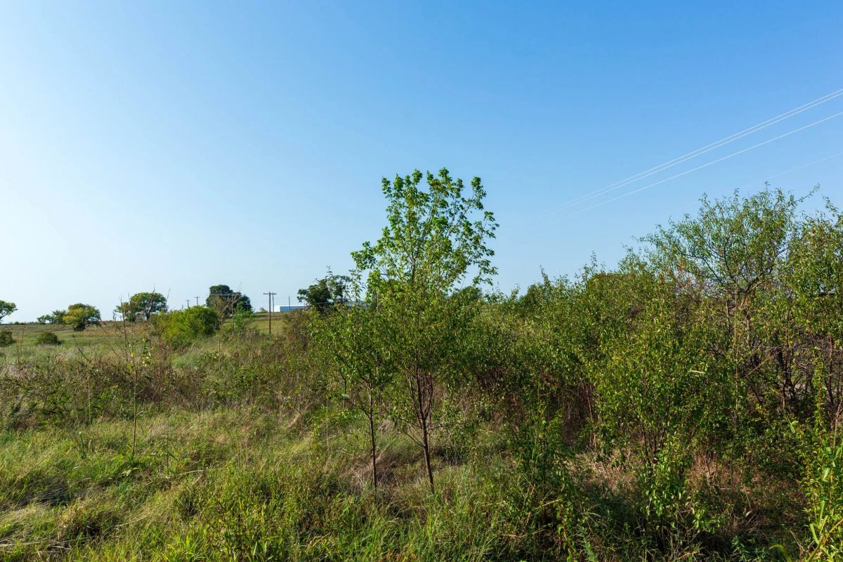 Canyon Creek Tract 4 - Image 2