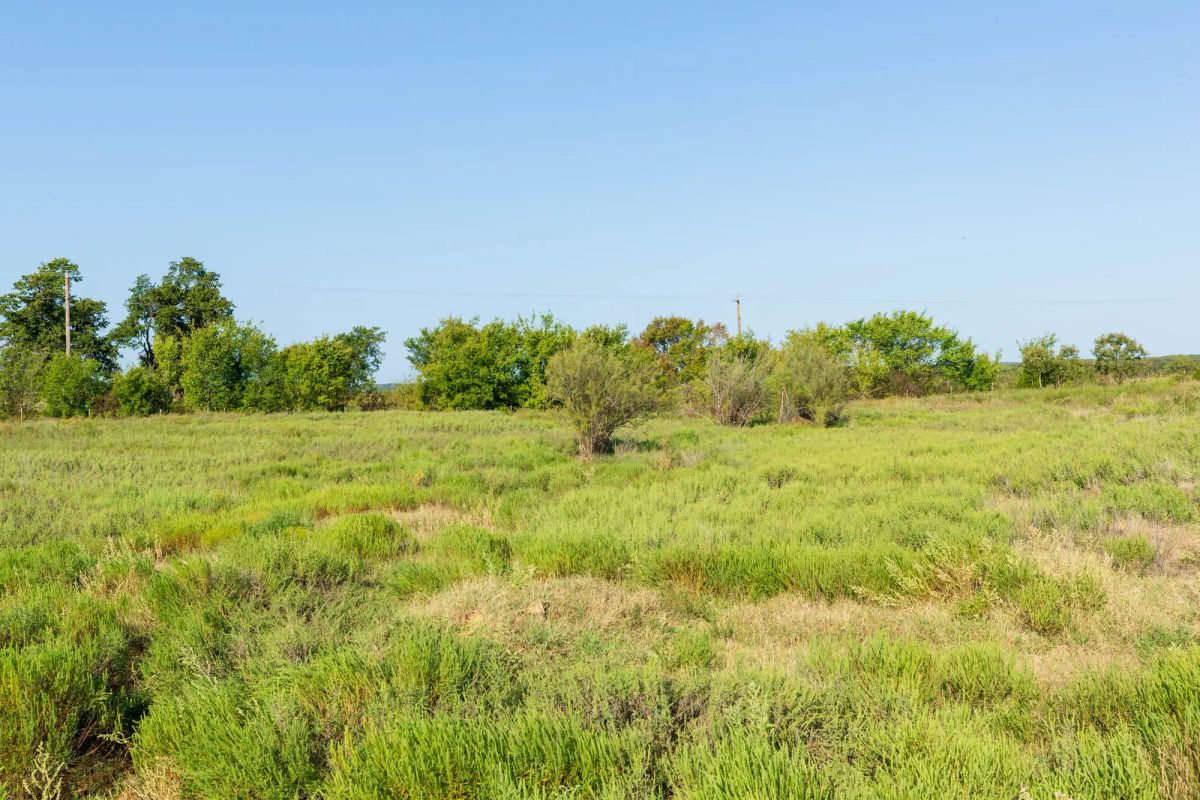 Canyon Creek Tract 4 - Image 4