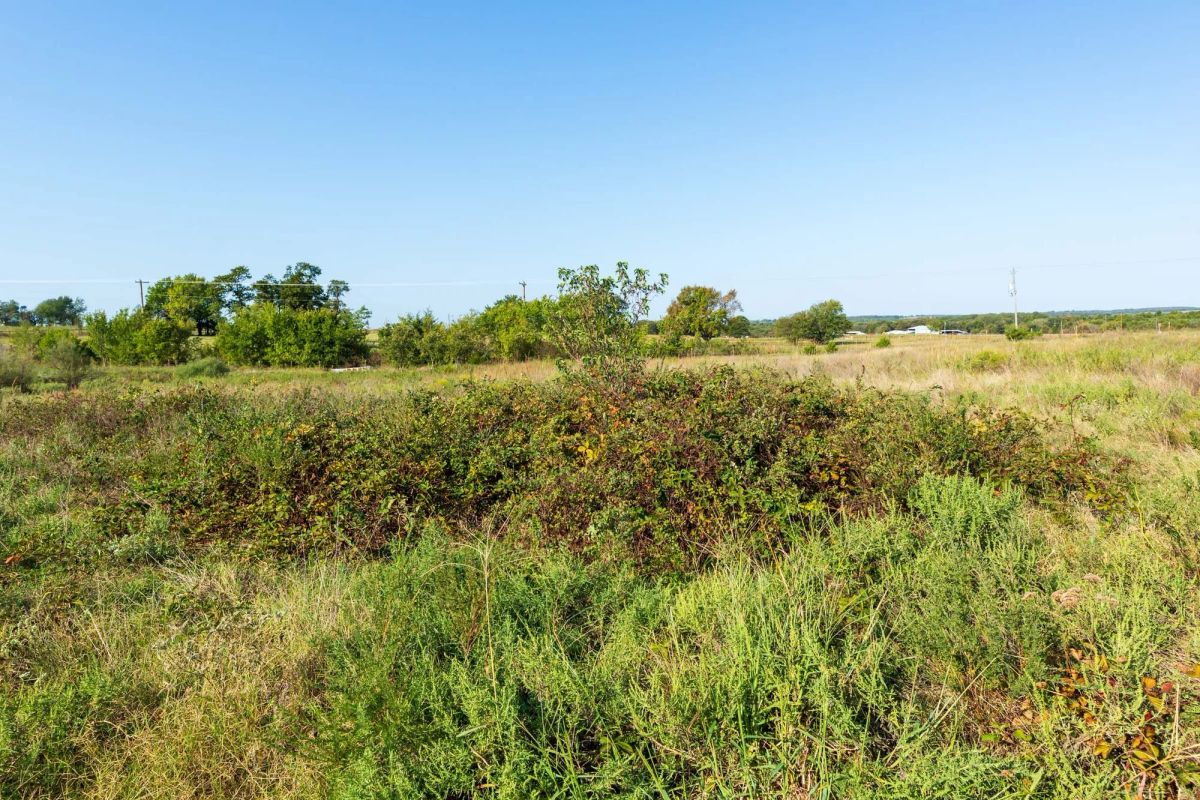 Decorative background for Canyon Creek Tract 4 image 6