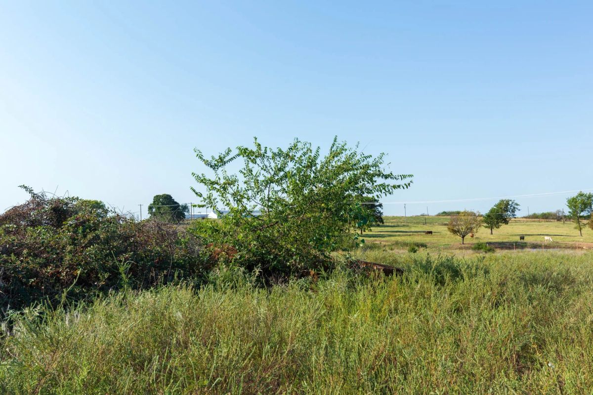 Decorative background for Canyon Creek Tract 4 image 7