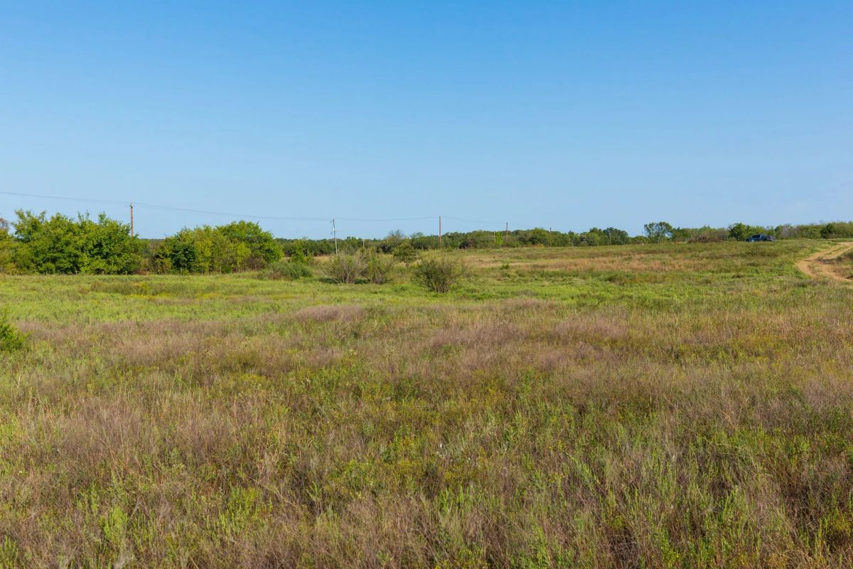Decorative background for Canyon Creek Tract 4 image 12
