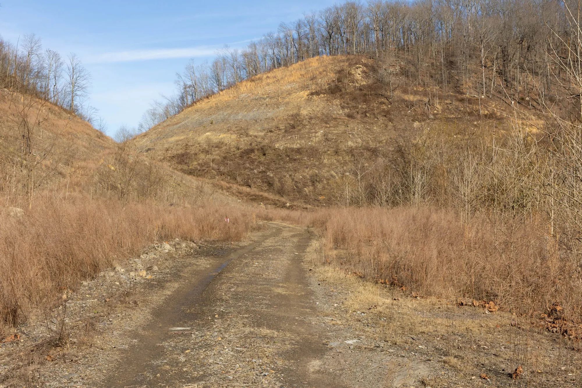 Jade Pass Tract 8 in Whitley County, KY