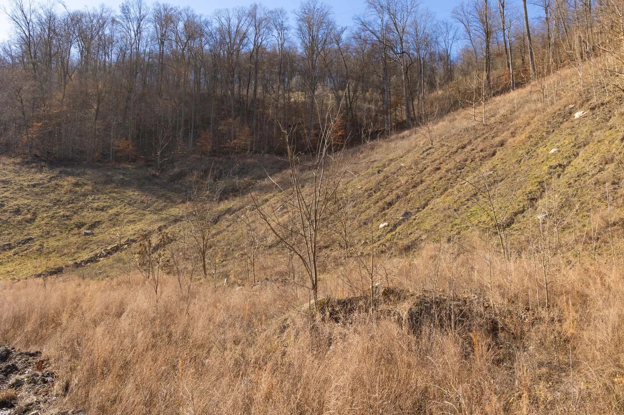 Jade Pass Tract 8 in Whitley County, KY