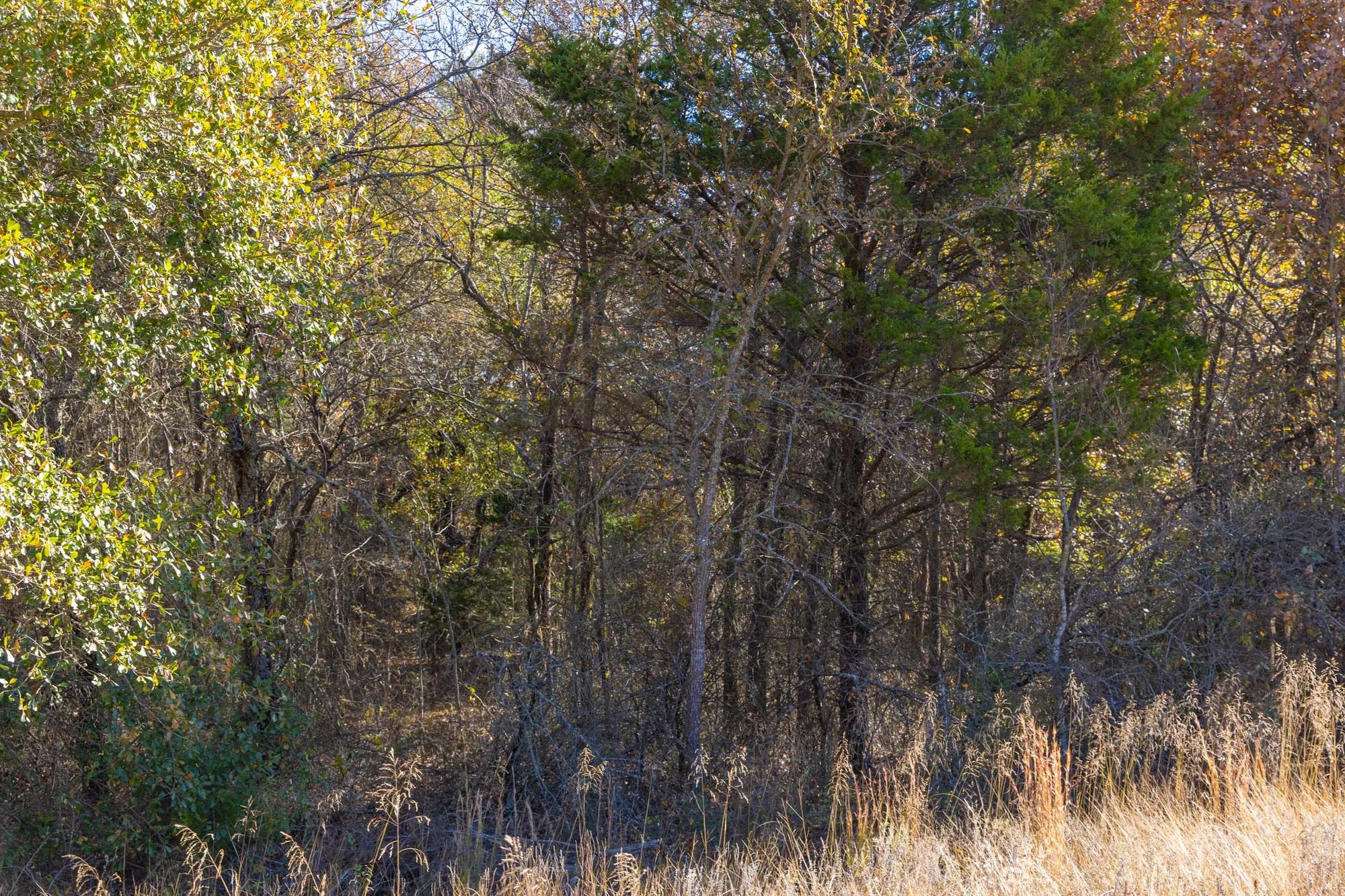 Harmony Hills Tract 40 in Pittsburg County, OK