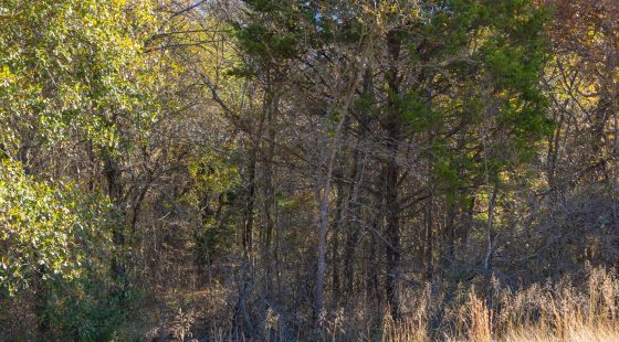 Harmony Hills Tract 40 in Pittsburg County, OK