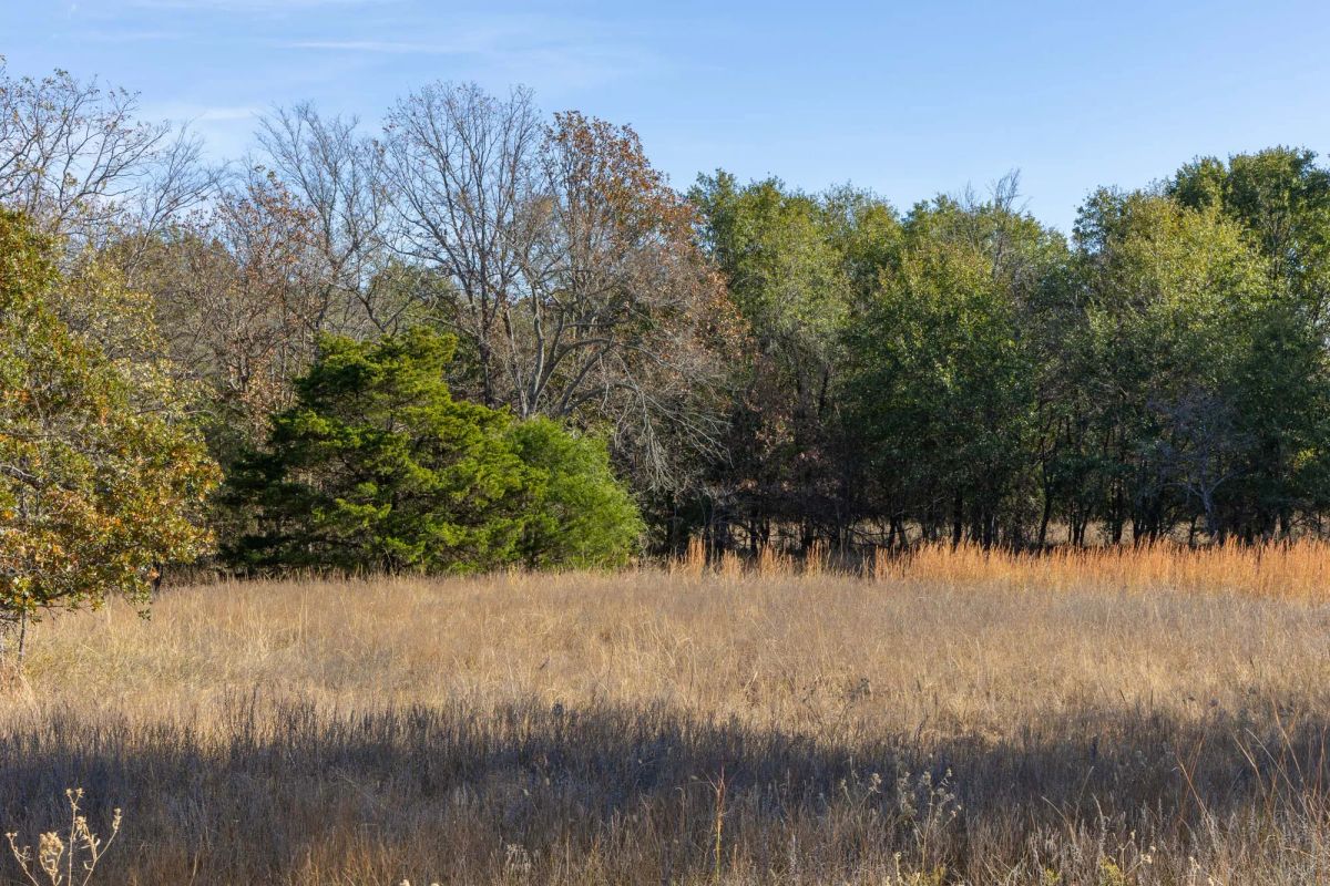 Harmony Hills Tract 40 - Image 3