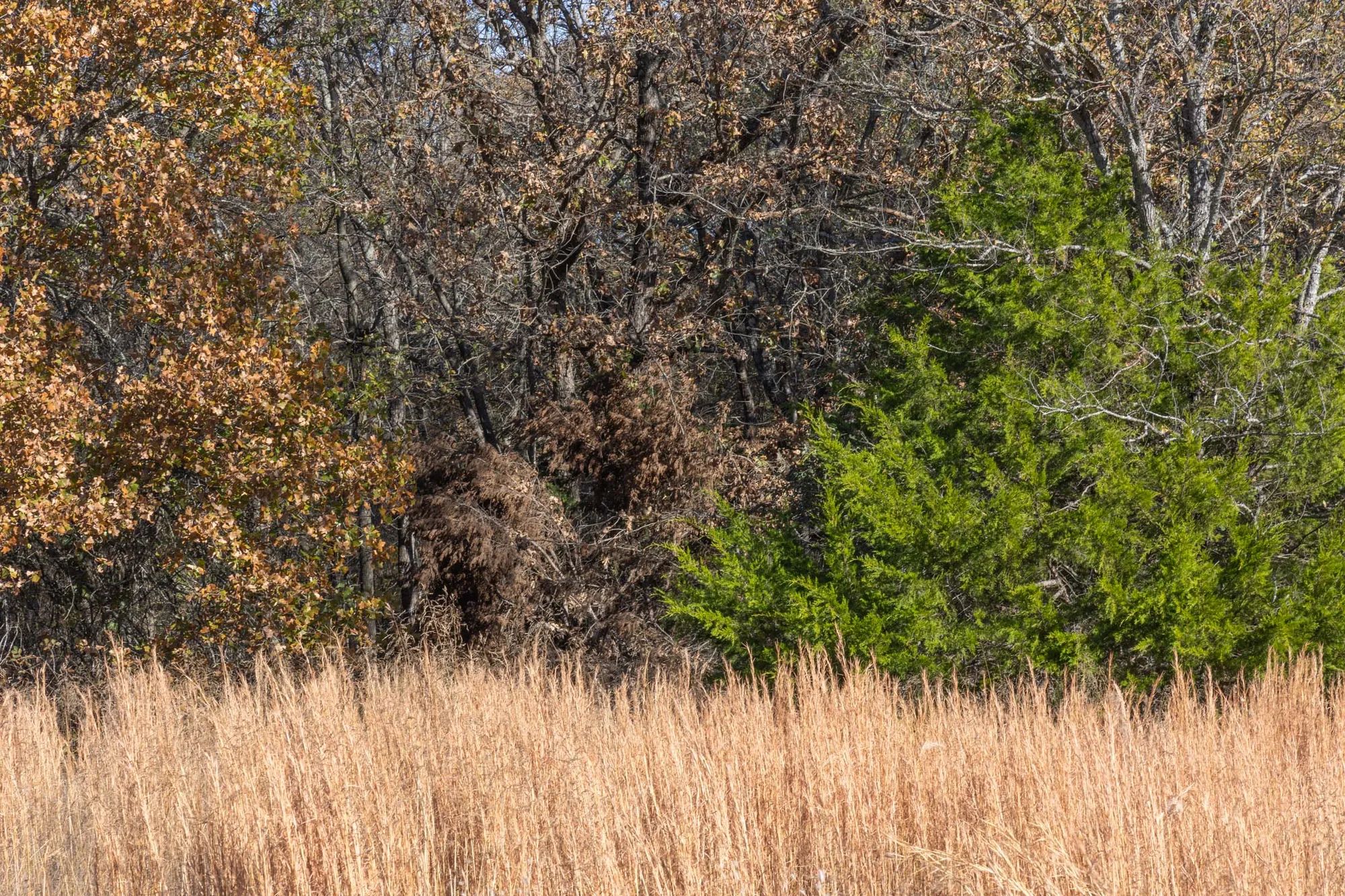 Harmony Hills Tract 40 in Pittsburg County, OK