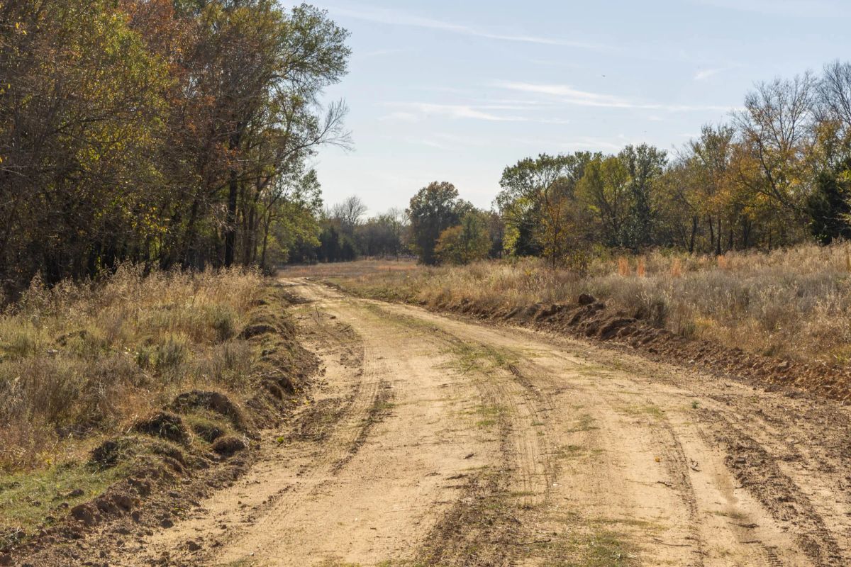 Decorative background for Harmony Hills Tract 40 image 5