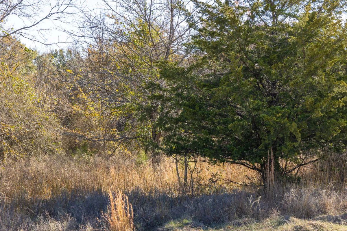 Decorative background for Harmony Hills Tract 40 image 6