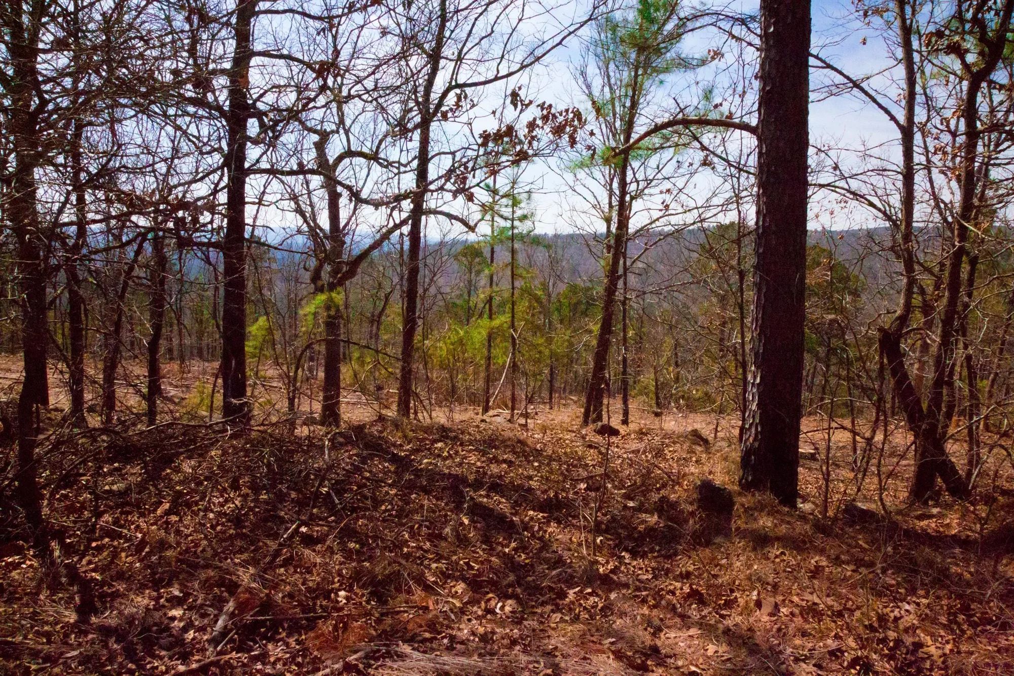 Stone Creek Phase II Tract 98 in Latimer County, OK