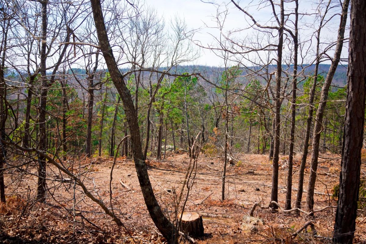 Decorative background for Stone Creek Phase II Tract 98 image 5
