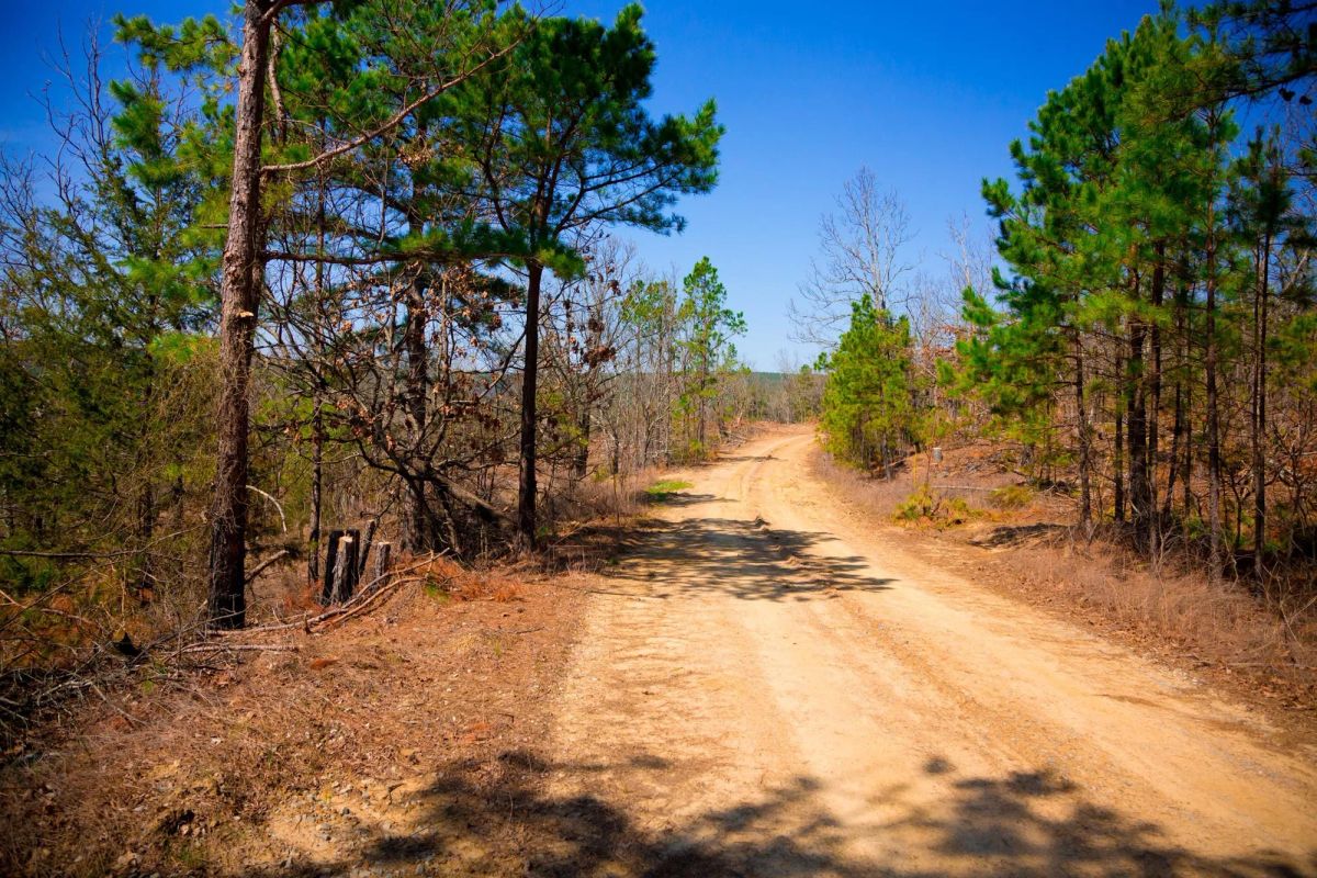Decorative background for Stone Creek Phase II Tract 98 image 6
