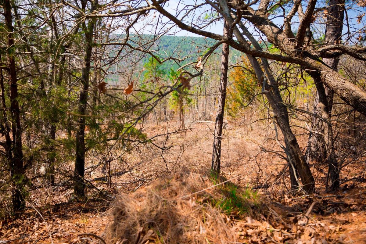 Decorative background for Stone Creek Phase II Tract 98 image 8