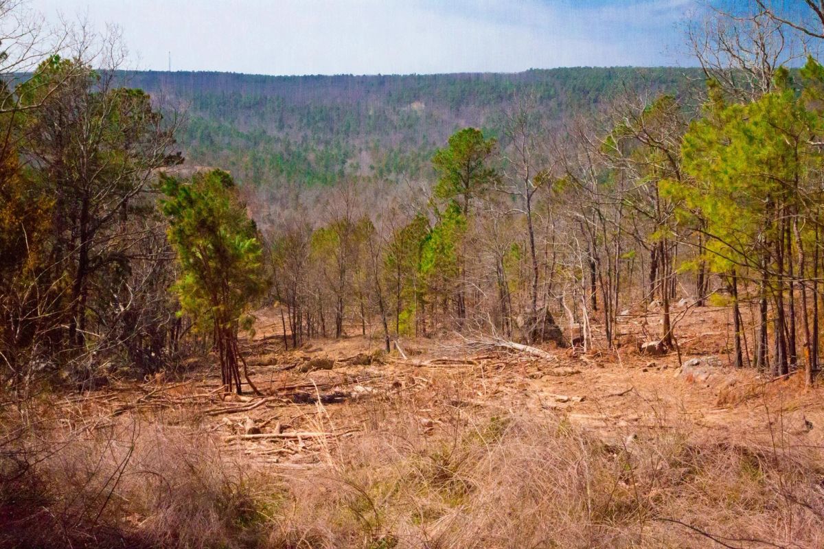 Decorative background for Stone Creek Phase II Tract 98 image 9
