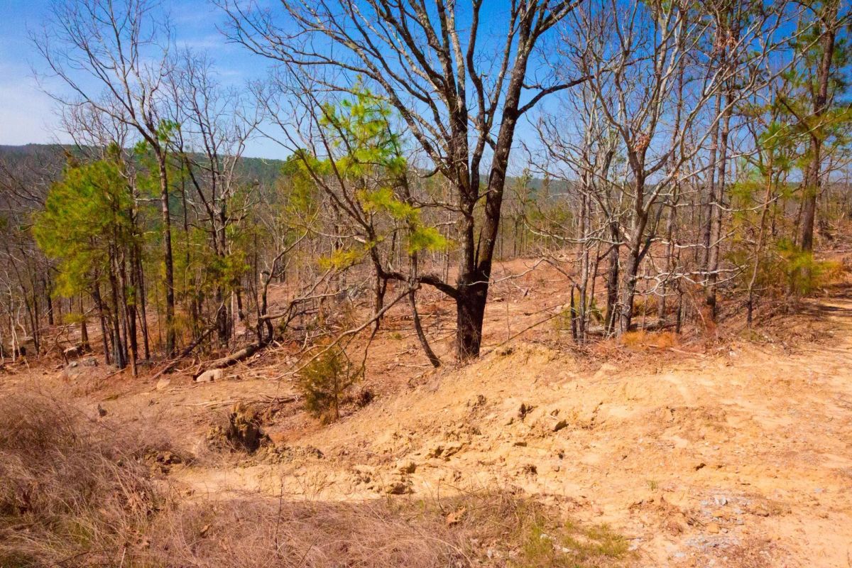 Decorative background for Stone Creek Phase II Tract 98 image 10