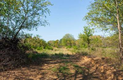 Canyon Creek Tract 20