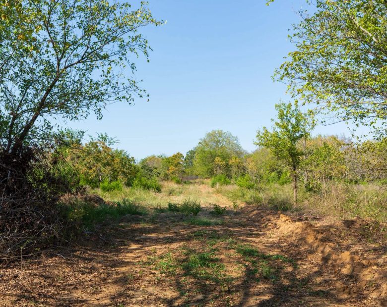 Canyon Creek Tract 20 in Lincoln County, OK