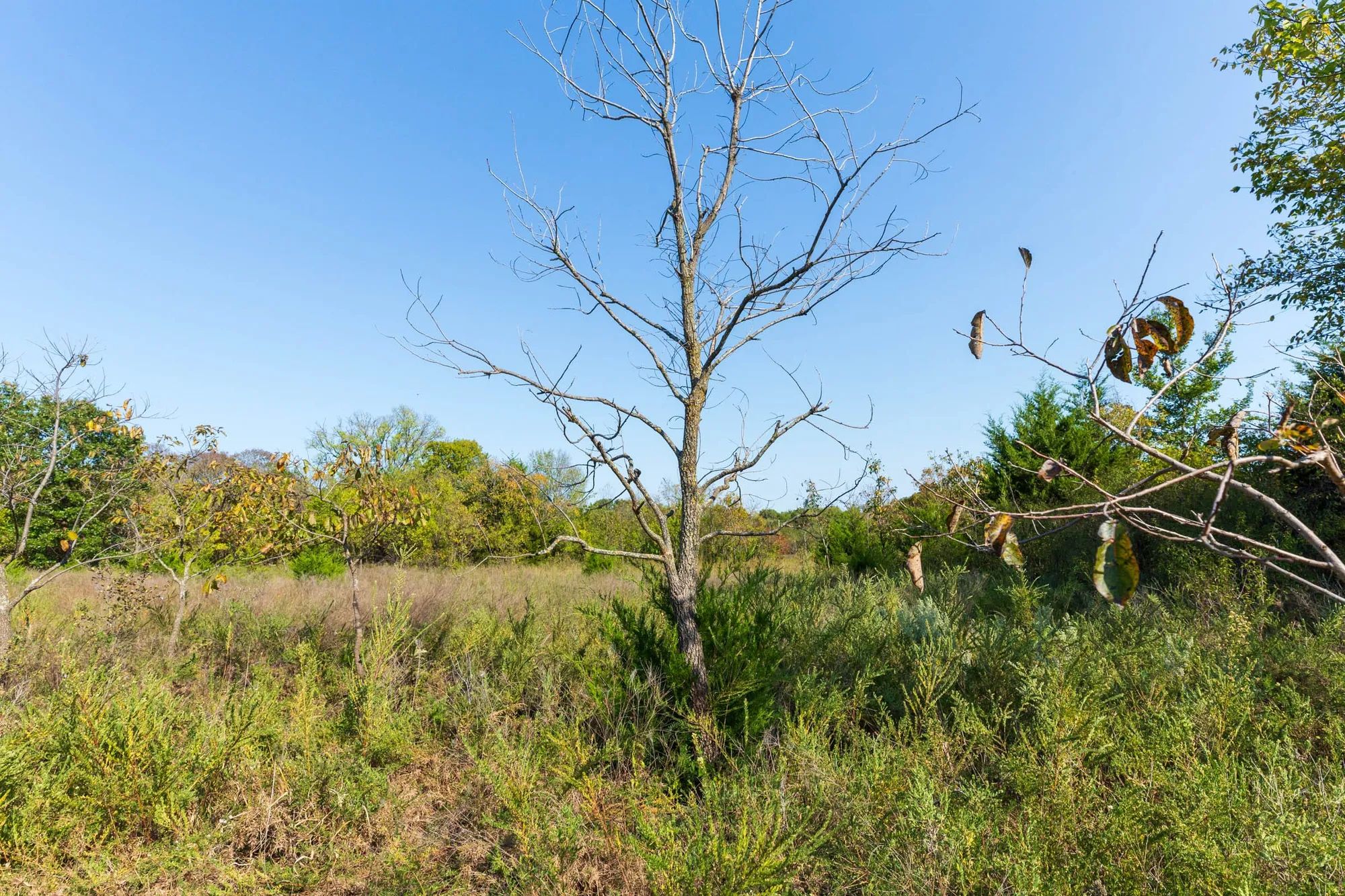Canyon Creek Tract 20 in Lincoln County, OK