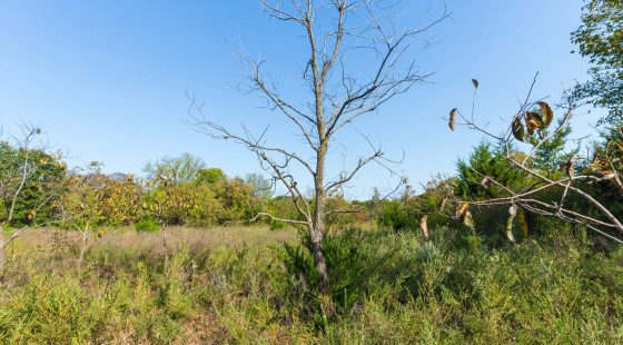 Canyon Creek Tract 20 in Lincoln County, OK