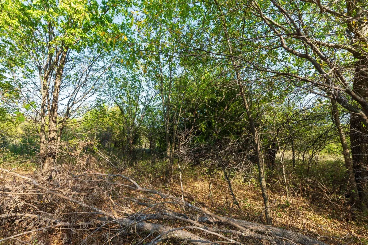 Canyon Creek Tract 20 - Image 3