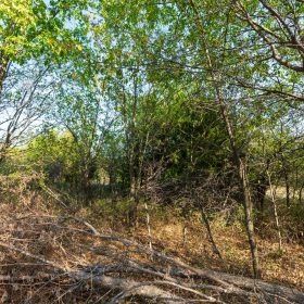 Canyon Creek Tract 20 in Lincoln County, OK