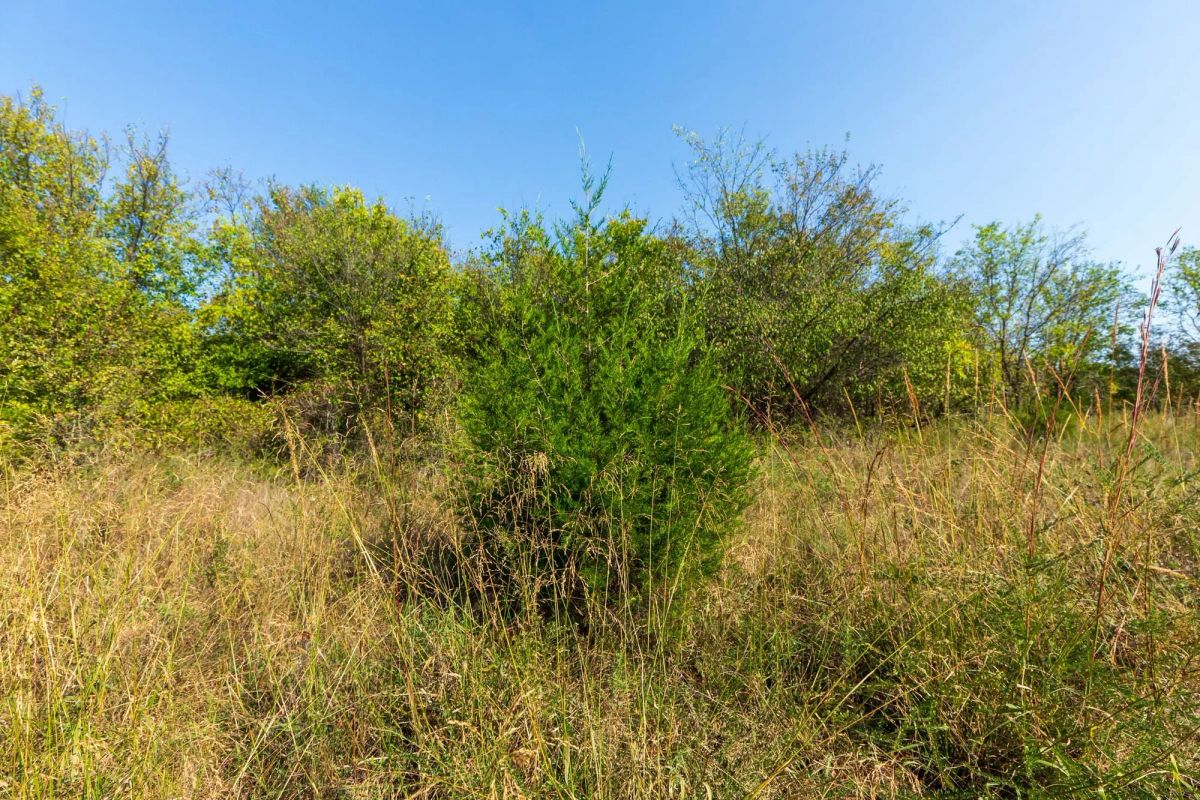 Decorative background for Canyon Creek Tract 20 image 8